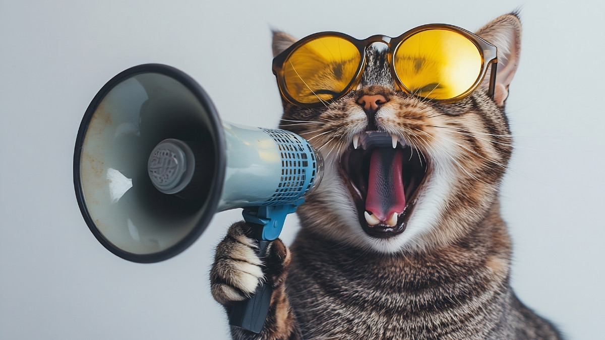 Hình nền vô tri ngầu, cá tính