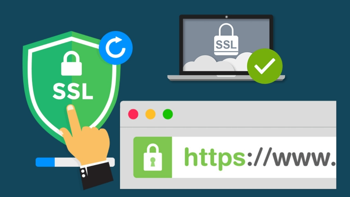 Kiểm tra SSL trên web
