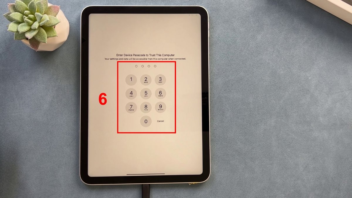 Cách khôi phục cài đặt gốc iPad bằng máy tính