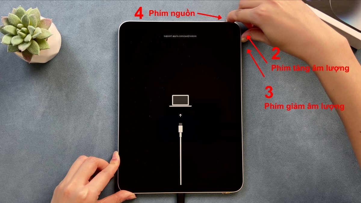 Cách khôi phục cài đặt gốc iPad khi bị vô hiệu hóa