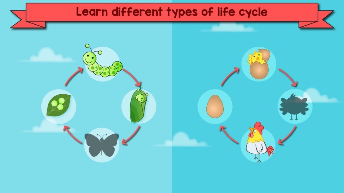 Kids Games Learning Science có thực sự hiệu quả cho trẻ không?