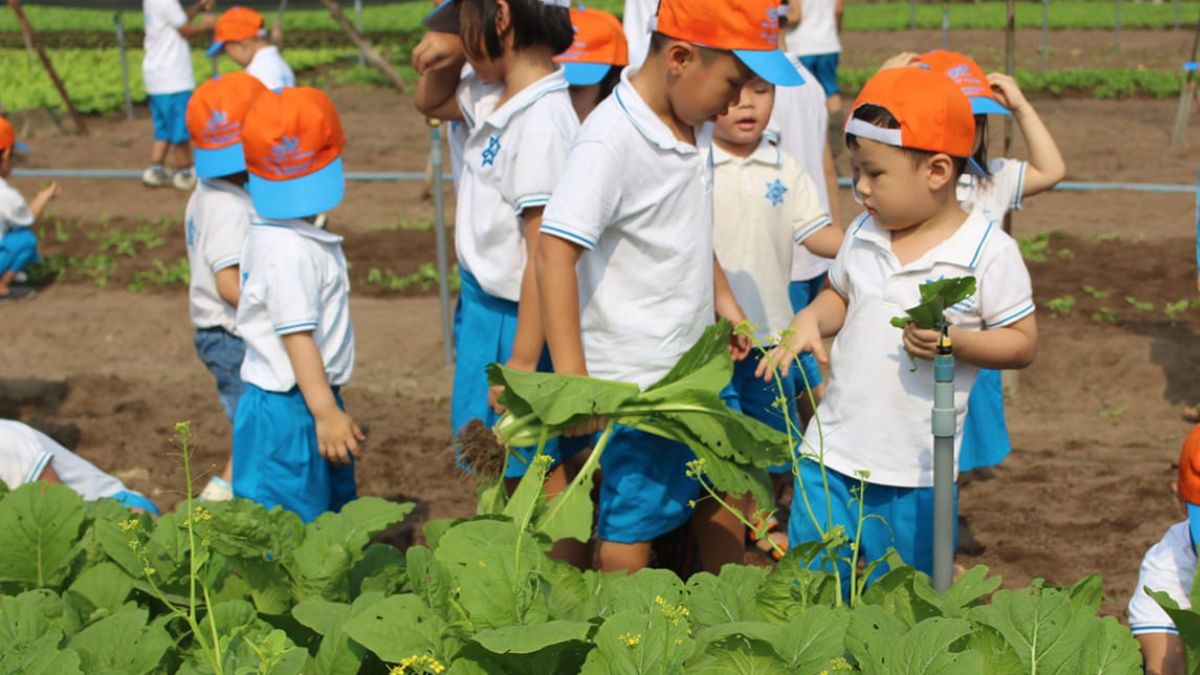 Gia đình có thể tận dụng kỳ nghỉ hè để tham gia các hoạt động tập thể hữu ích