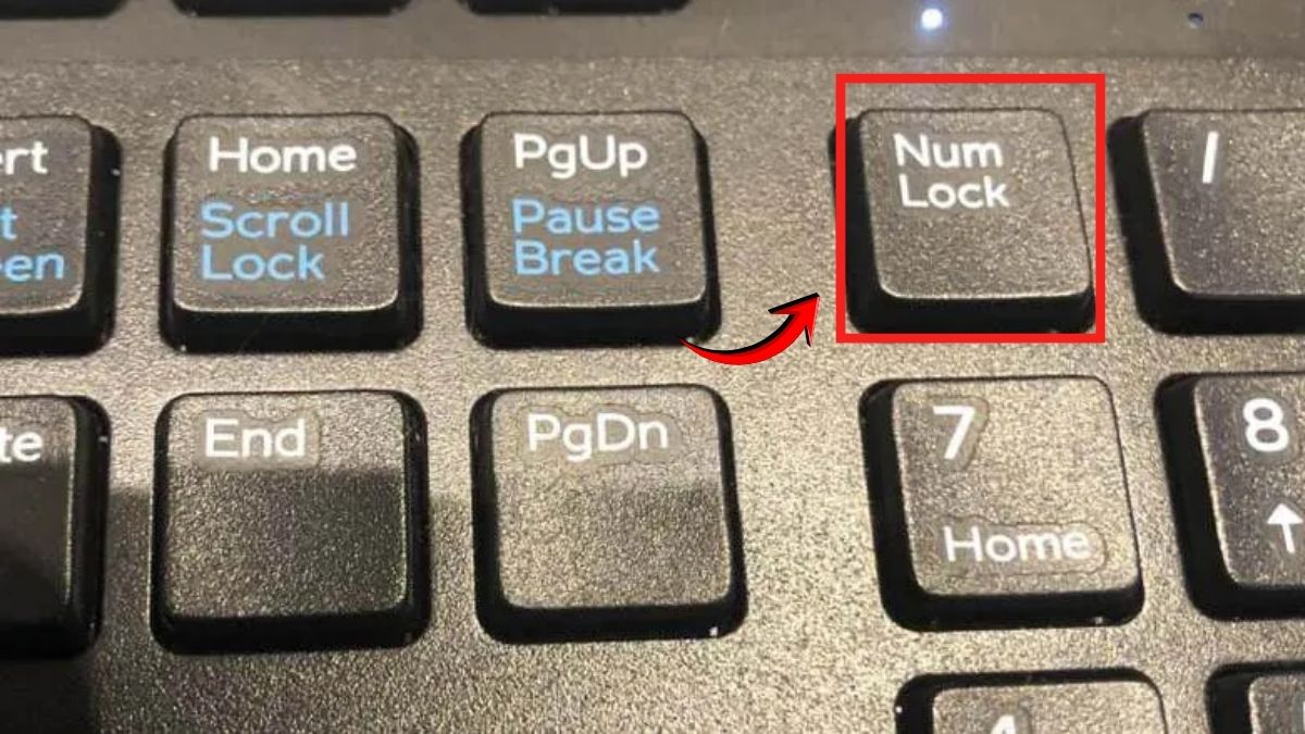 Phím NumLock bị tắt là nguyên nhân khiến laptop HP không gõ được số