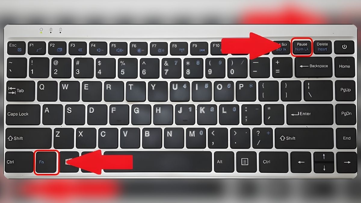 Kiểm tra và bật lại NumLock