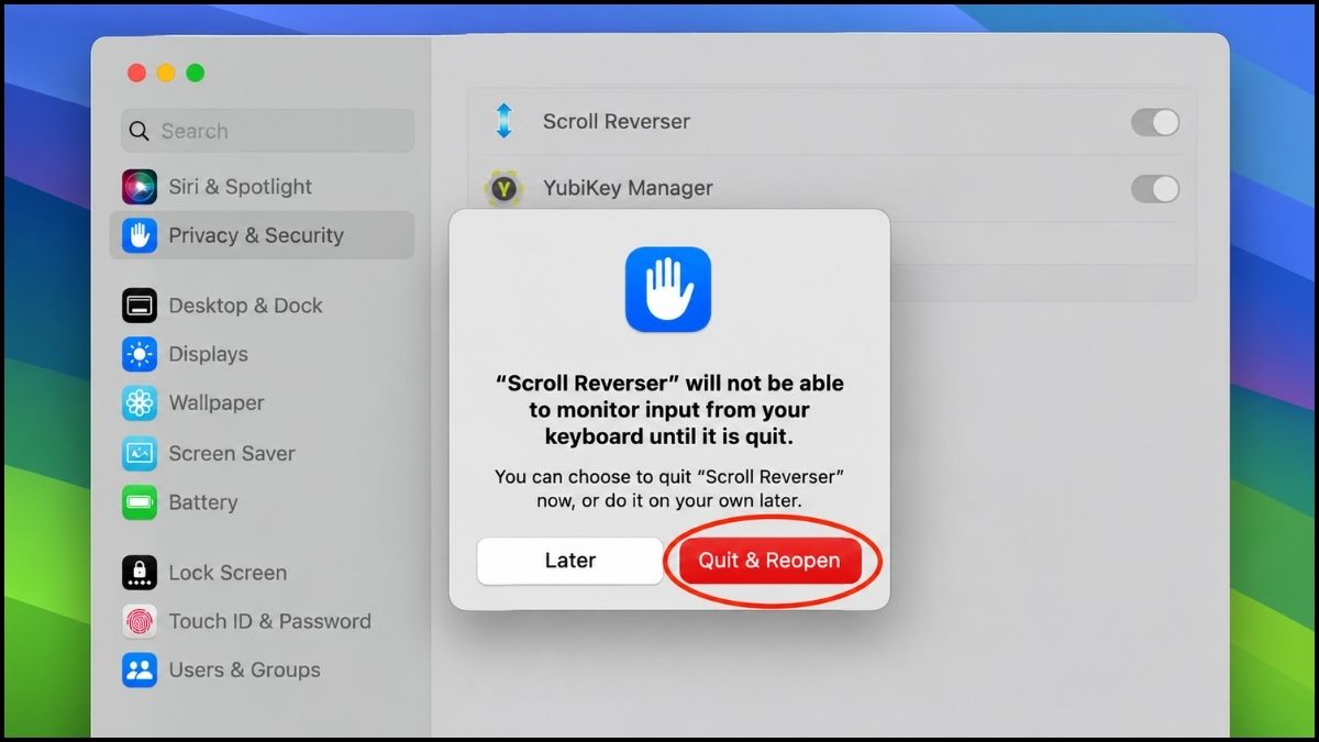 Cách chỉnh hướng cuộn riêng cho Trackpad và chuột rời