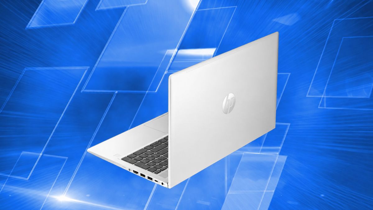 HP ProBook 455 G10 bền bỉ, dễ nâng cấp RAM