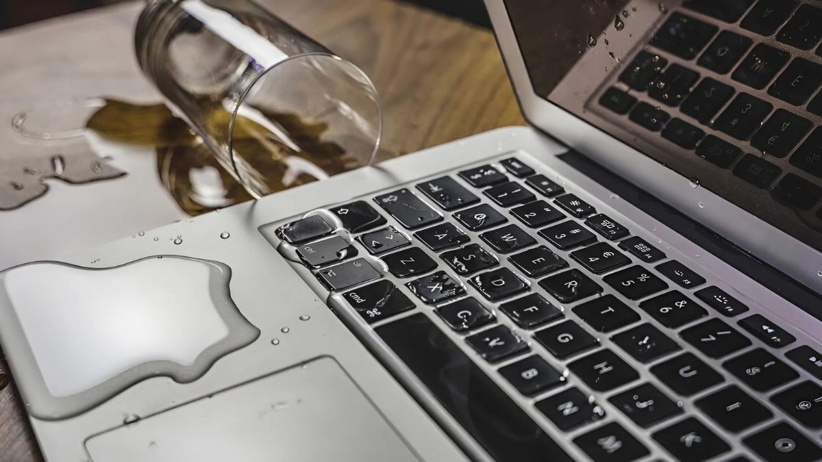 Loa bị vào nước