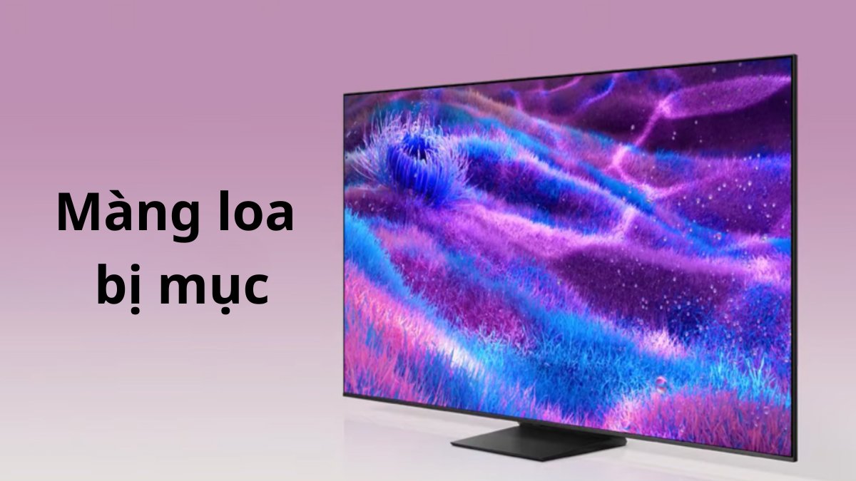 Màng loa bị mục sau 3-5 năm sử dụng