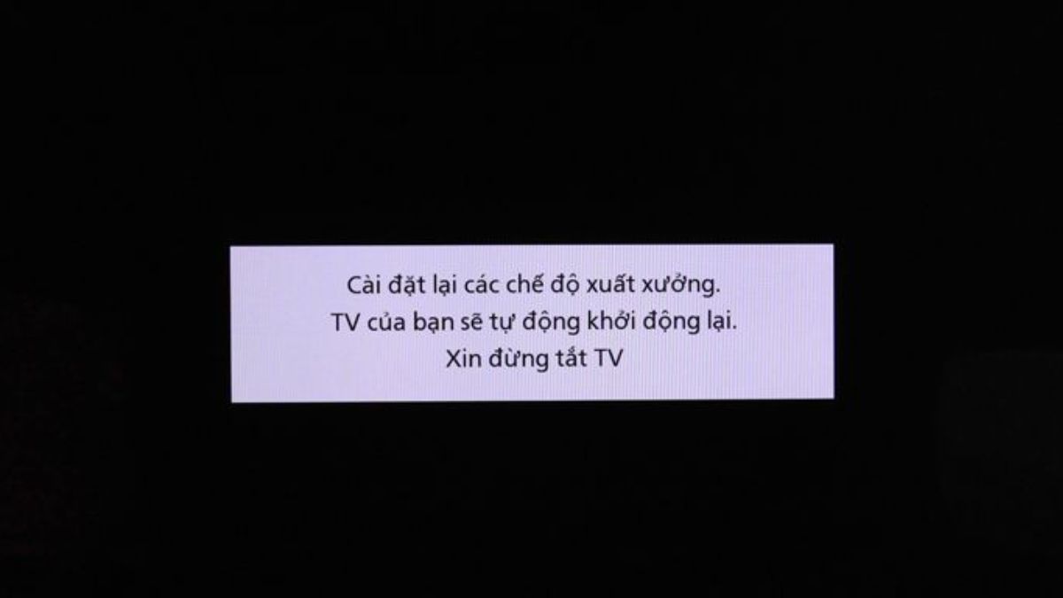 Lỗi phần mềm hoặc firmware