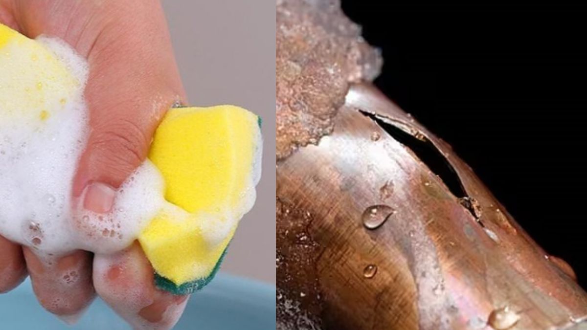 Kiểm tra đường ống đồng và đầu giắc co