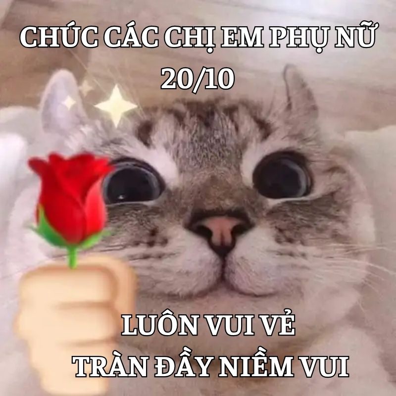 Meme tự chế tặng bạn bè 20/10