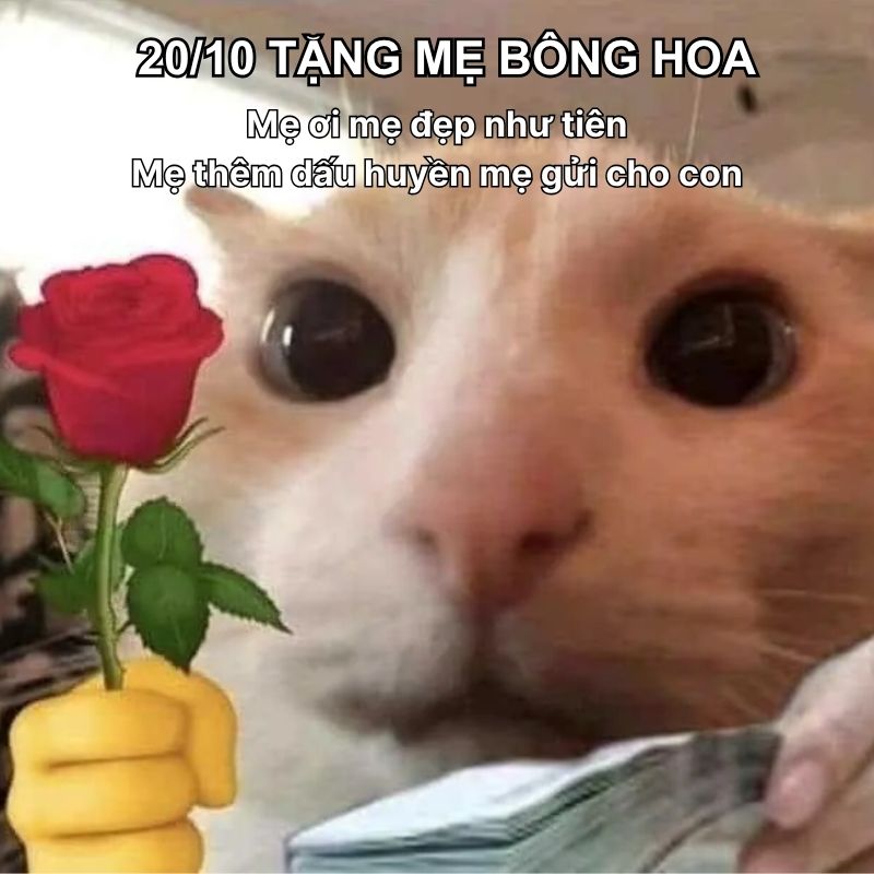 Ảnh meme hài gửi tặng mẹ yêu
