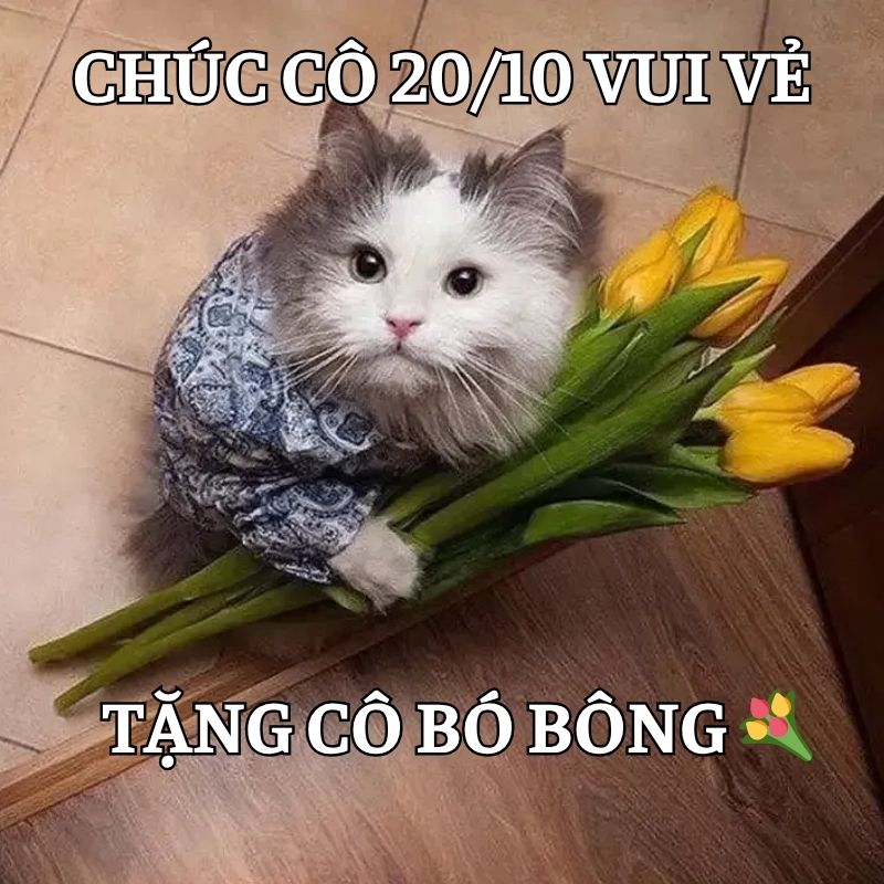 Meme hài chúc cô giáo ngày 20/10