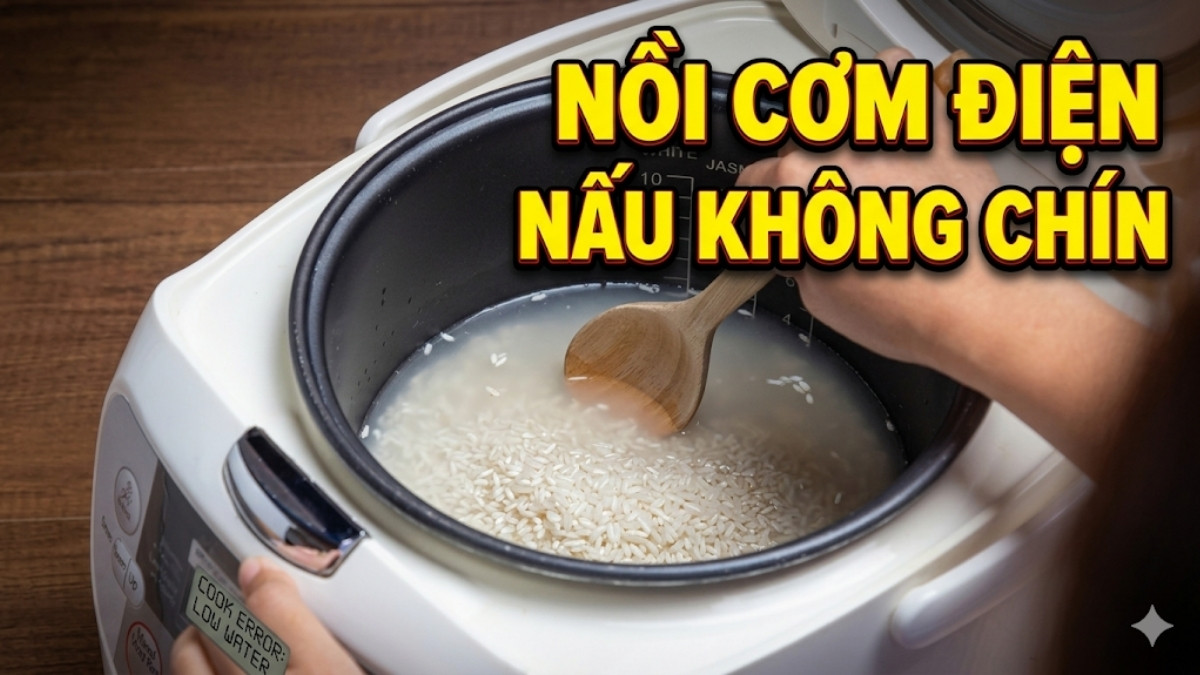 Vì sao nồi cơm điện nấu không chín? Cách xử lý như thế nào? Vì sao nồi cơm điện nấu không chín? Cách xử lý như thế nào?