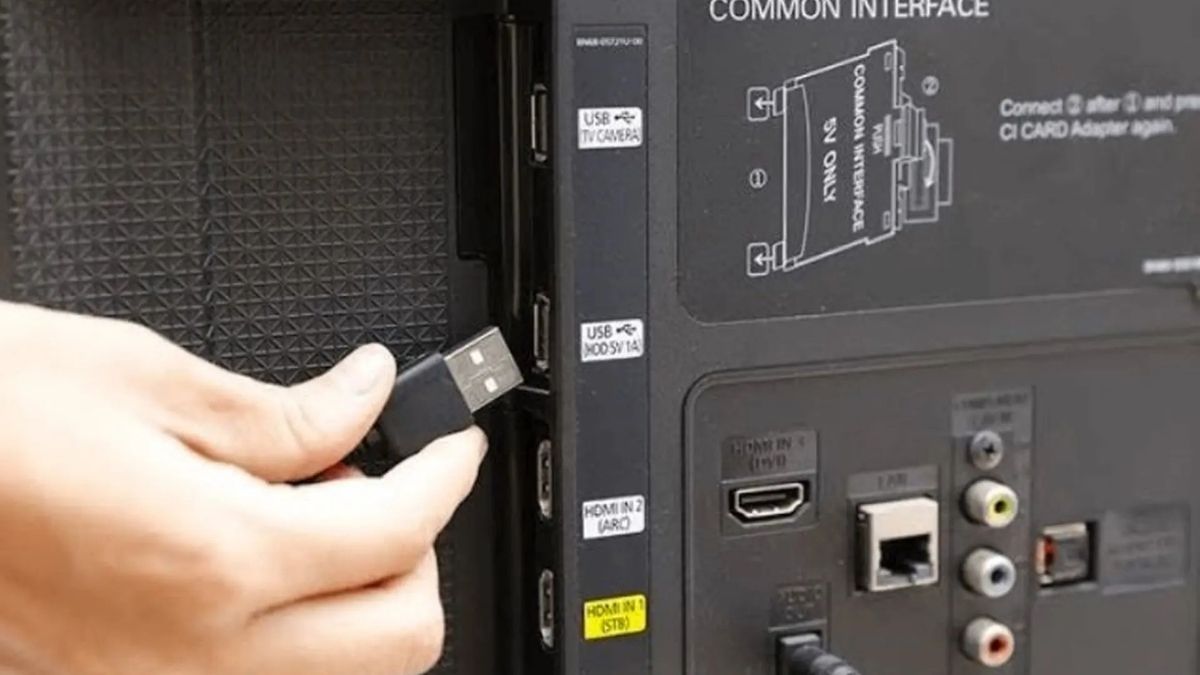 Ngõ ra âm thanh truyền tiếng từ TV đến các thiết bị ngoài