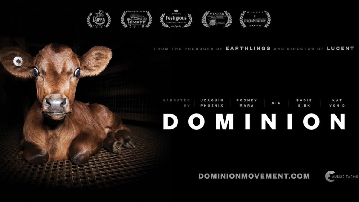 Phim của Sadie SInkDominion (2018)
