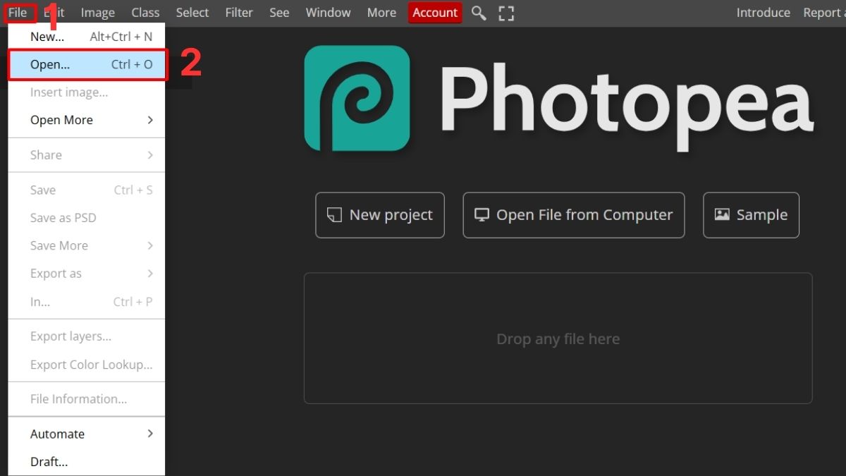 Hướng dẫn cơ bản cách sử dụng Photopea