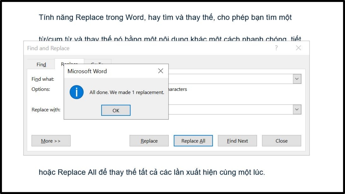 Thay thế ký tự đặc biệt bằng lệnh Find and Replace