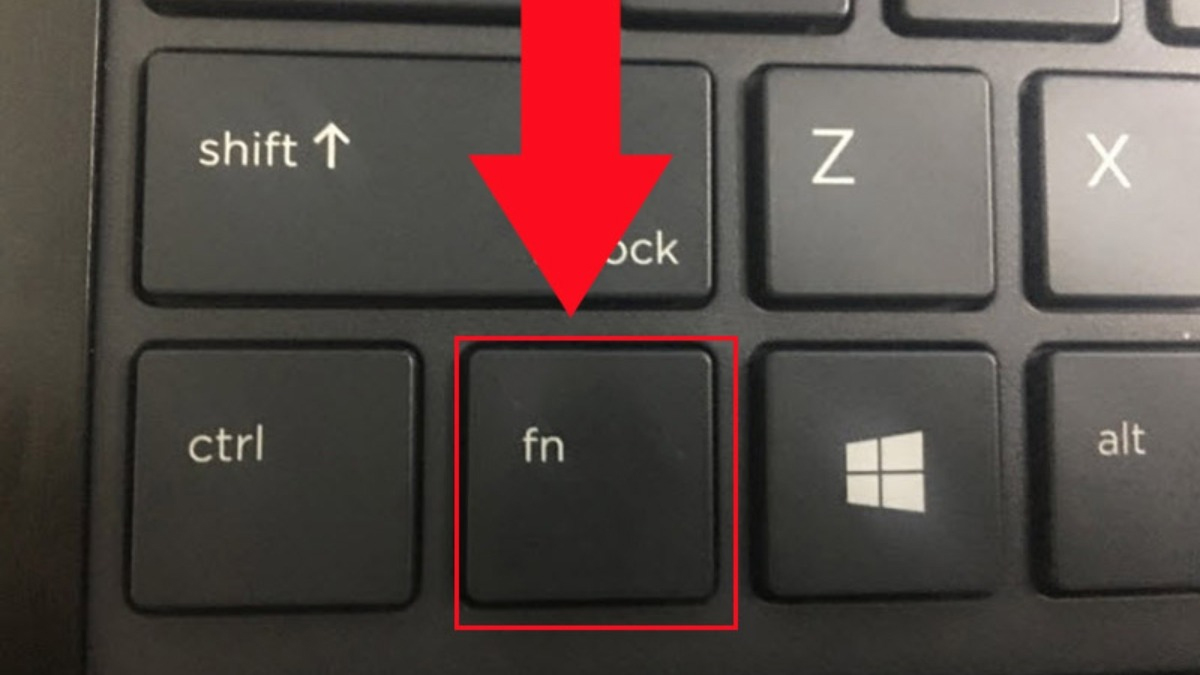 Chức năng Fn bị khóa