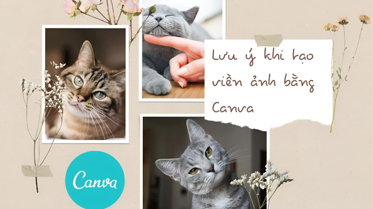 Tạo viền bằng cách nhân đôi đối tượng