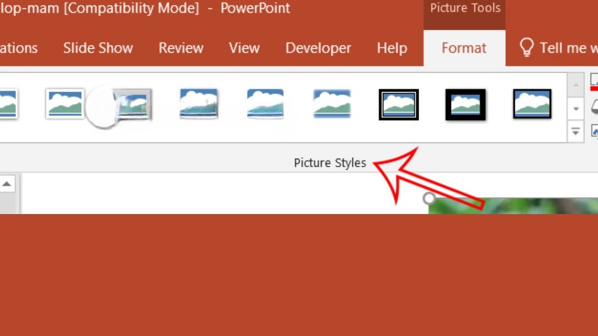 Tạo viền cho hình ảnh trong PowerPoint