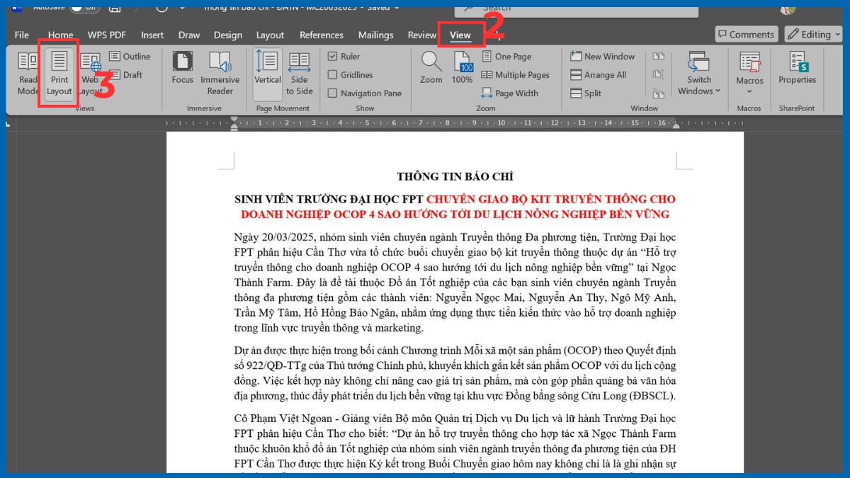 Kiểm tra chế độ Layout trong Word