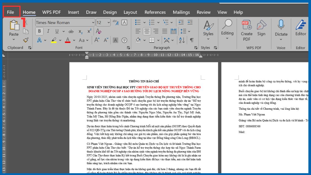 Kiểm tra add-ins gây lỗi hiển thị trong Word