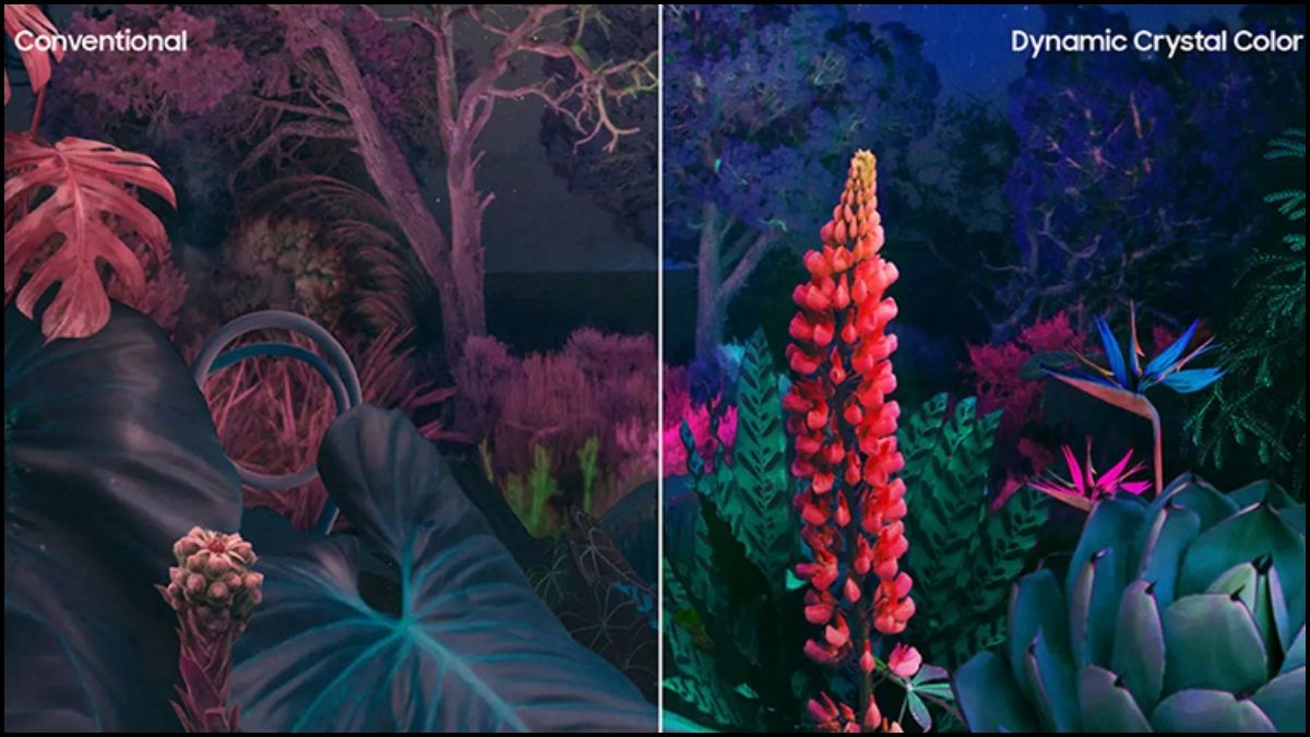 Chế độ hình ảnh chưa tối ưu