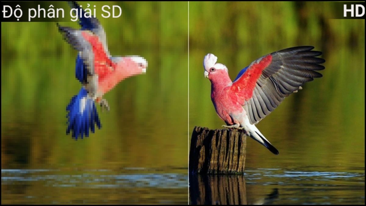 Độ phân giải nguồn vào thấp