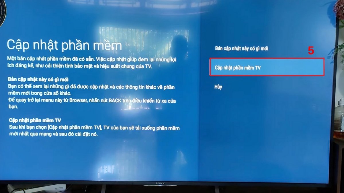 Cập nhật phần mềm tivi Sony