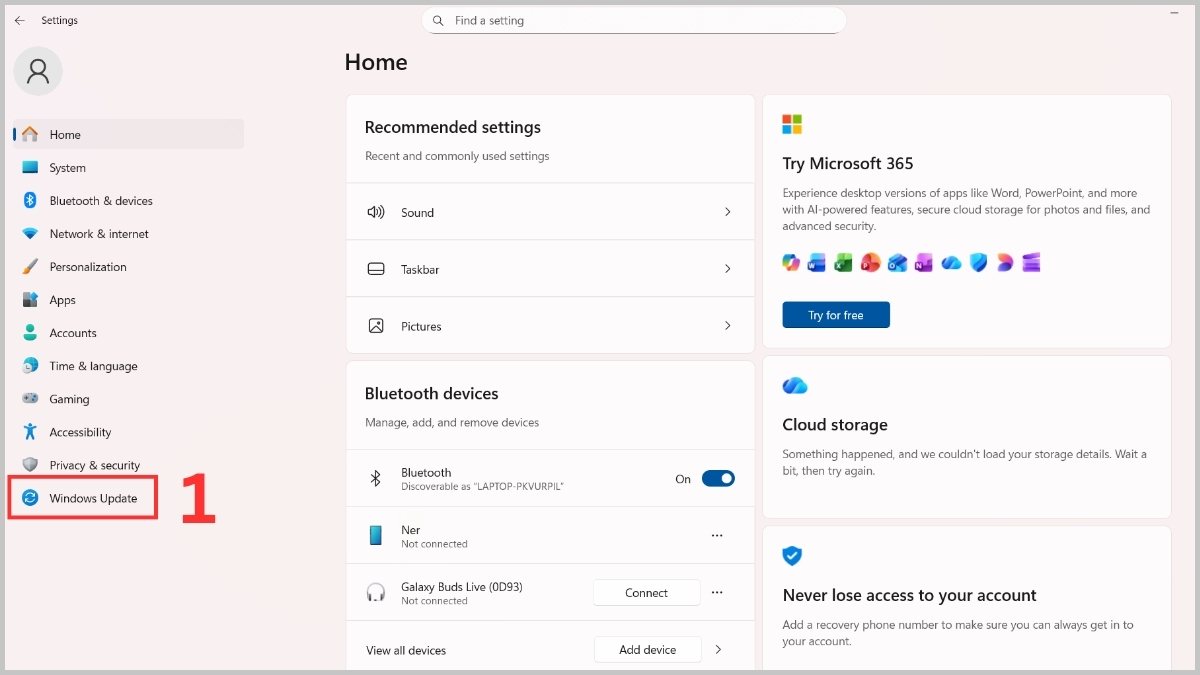 Cập nhật Windows 11