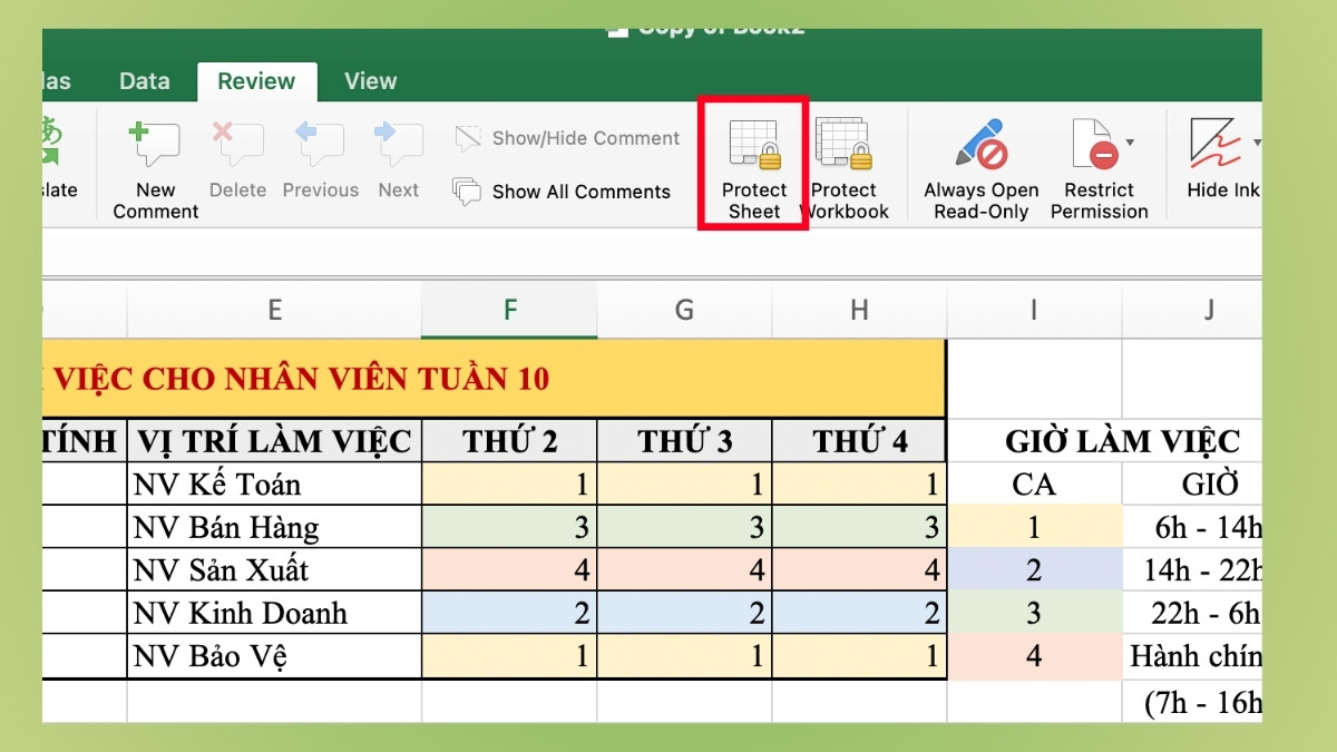 Sử dụng Protect Sheet để bảo vệ dữ liệu