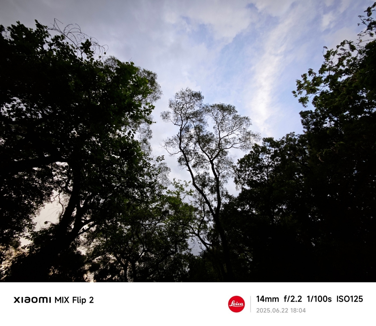Ảnh chụp từ camera MIX Flip 2