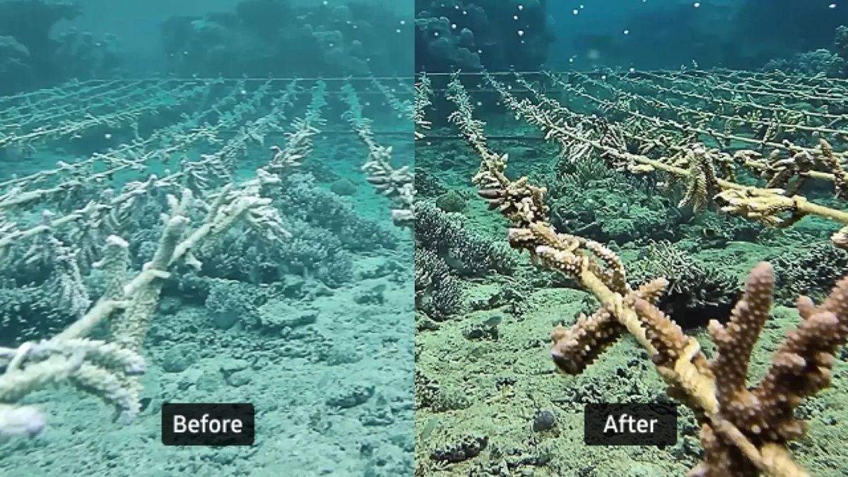 One UI 8.5 Beta mang tính năng Ocean Mode của S26 Ultra xuống thế hệ tiền nhiệm