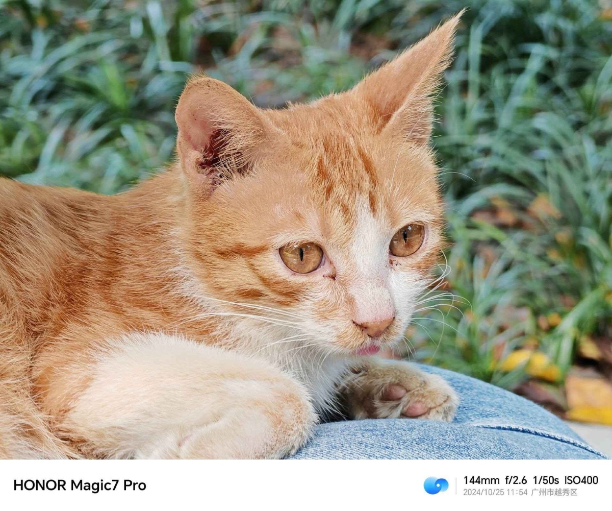 Đánh giá Honor Magic7 Pro