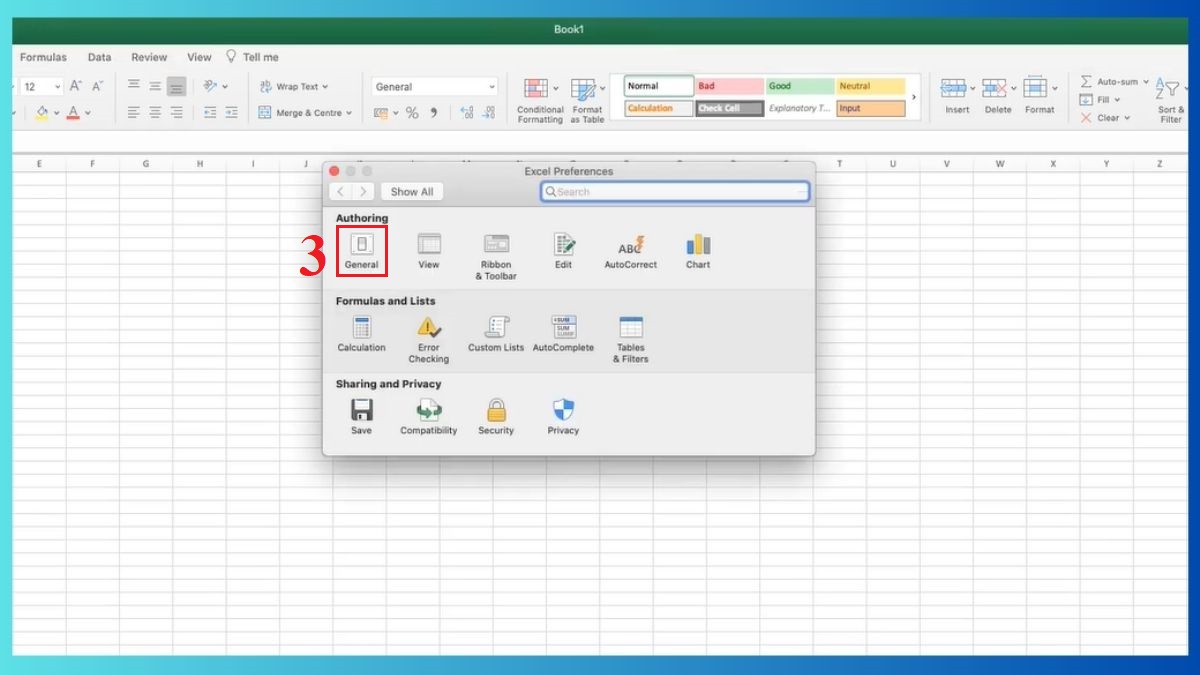 Cách cài đặt font chữ mặc định cho Excel trên Mac Bước 2