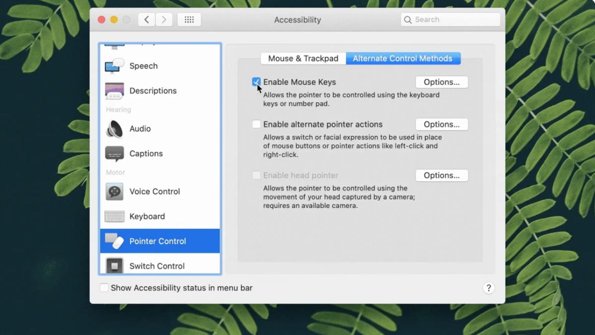 Bàn phím MacBook bị liệt do lỗi phần mềm
