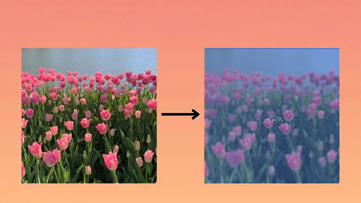 Cách làm ảnh trong suốt trong PowerPoint tạo ra slide chuyên nghiệp 