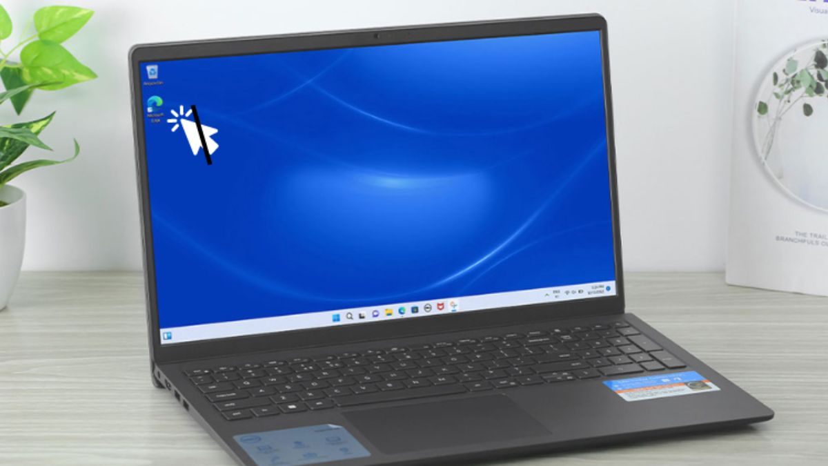 Dấu hiệu mất con trỏ chuột trên màn hình laptop Asus