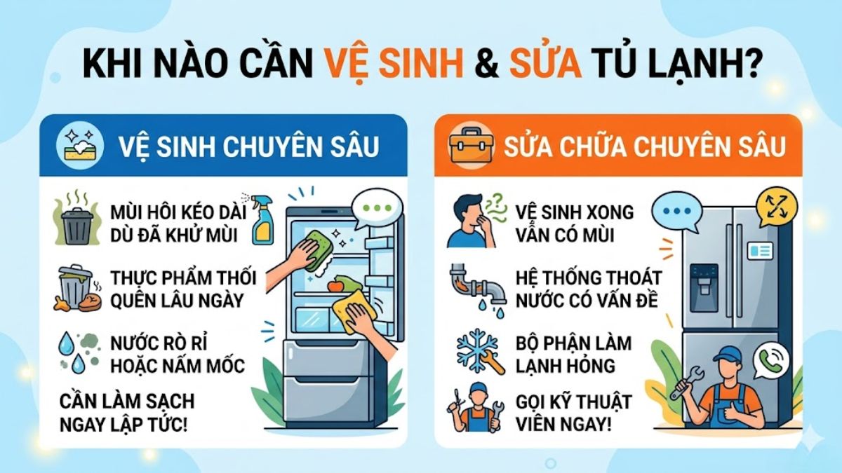 Khi nào cần vệ sinh hoặc sửa tủ lạnh thay vì dùng mẹo khử mùi?