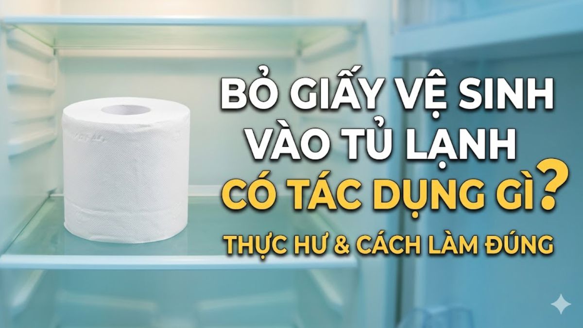 Bỏ giấy vệ sinh vào tủ lạnh có tác dụng gì? Thực hư & cách làm đúng