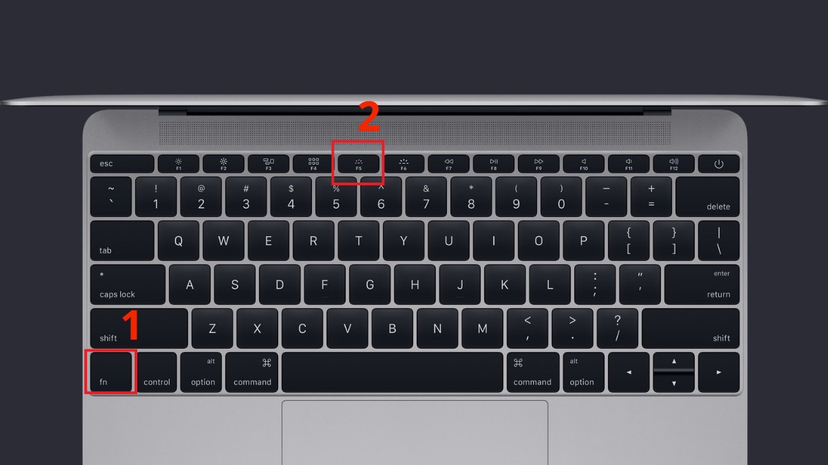Cách sử dụng phím F5 vật lý trên MacBook