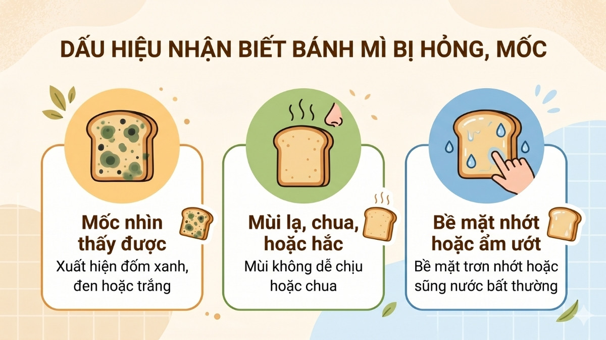 Dấu hiệu nhận biết bánh mì bị hỏng, mốc