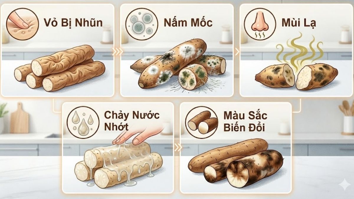 Dấu hiệu nhận biết củ mài bị hỏng khi bảo quản