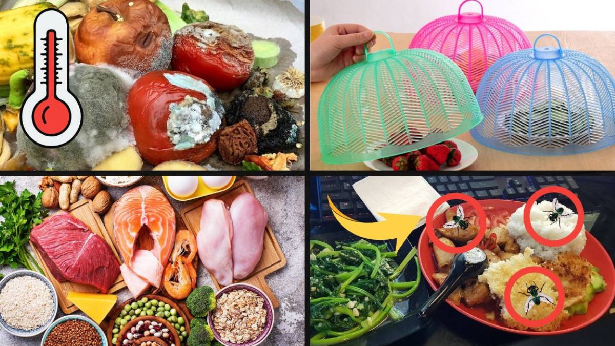 Những yếu tố ảnh hưởng đến thời gian bảo quản thực phẩm