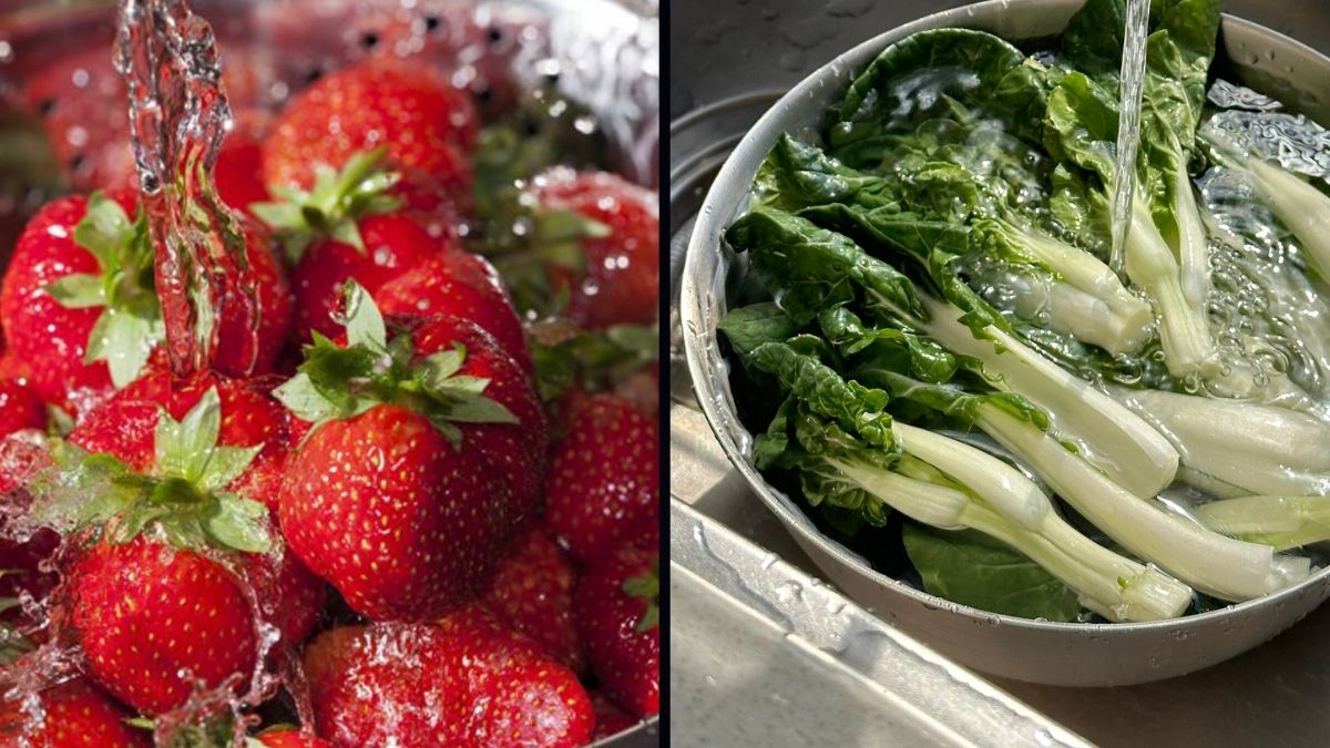 Cách bảo quản đồ ăn khi không có tủ lạnh bằng ngâm nước mát