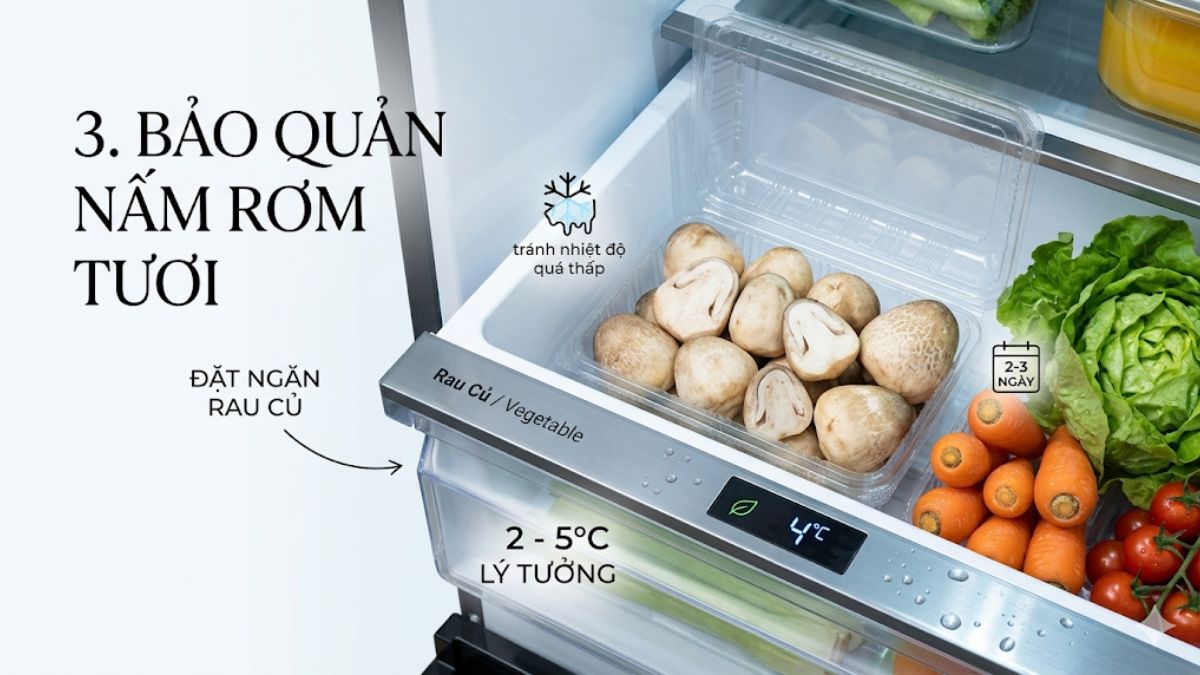 Cách bảo quản nem rán đã chiên trong tủ lạnh