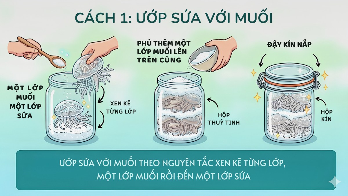 Cách bảo quản sứa tươi trong tủ lạnh đúng chuẩn