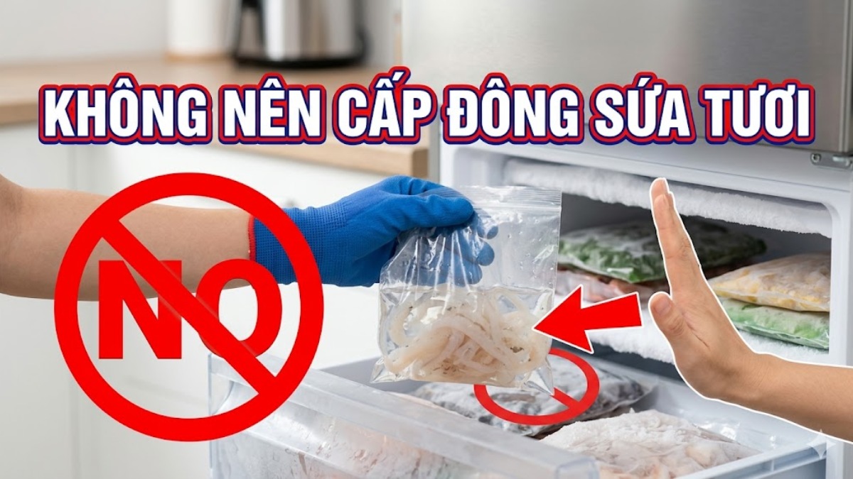 Cấp đông sứa là vấn đề còn nhiều tranh cãi 