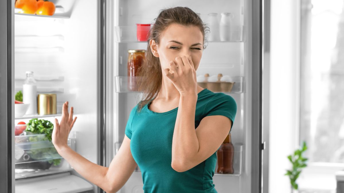 Vì sao cần biết cách bảo quản tủ lạnh khi không sử dụng?